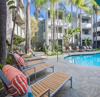A pool surrounded by palm trees and lounge chairs.